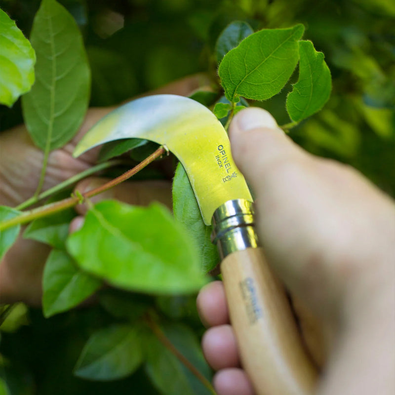 Opinel Pruning/Grafting Billhook Knife No10 S/S - 10cm Cardboard Box