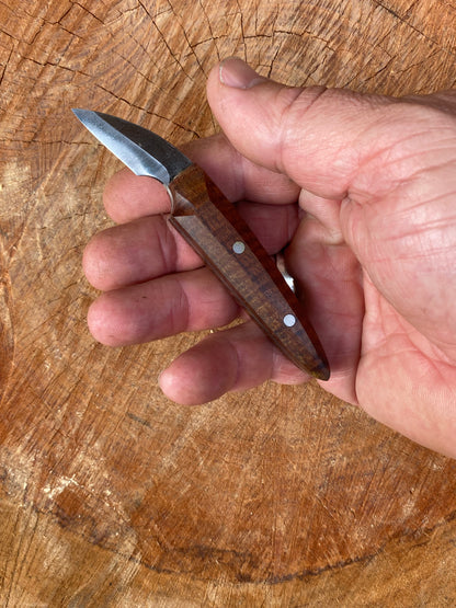 Golden Elm - Armadillo knife - Wood Tamer